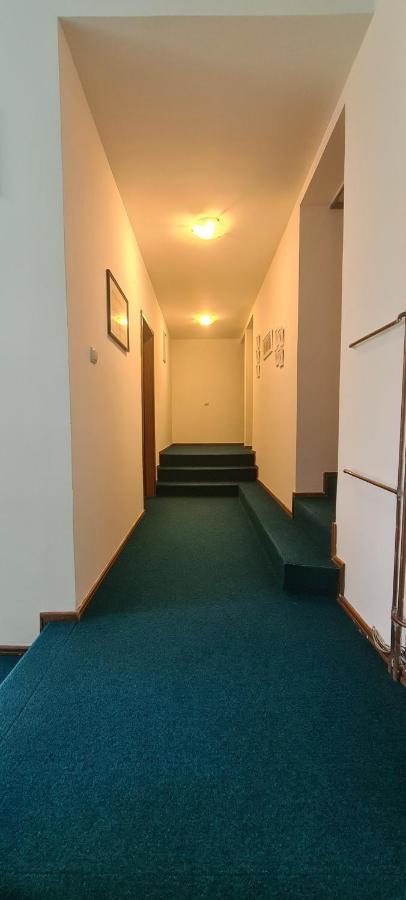 Guest House Tiha Noc Žabljak エクステリア 写真